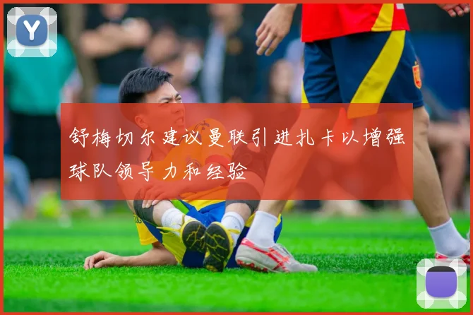 舒梅切尔建议曼联引进扎卡以增强球队领导力和经验